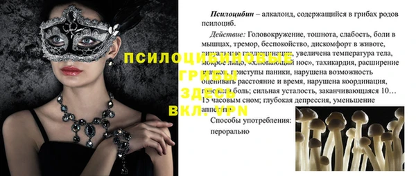 стаф Бутурлиновка